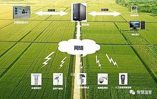 中国智慧农业还未成功 创新 商业模式 格局都存在问题